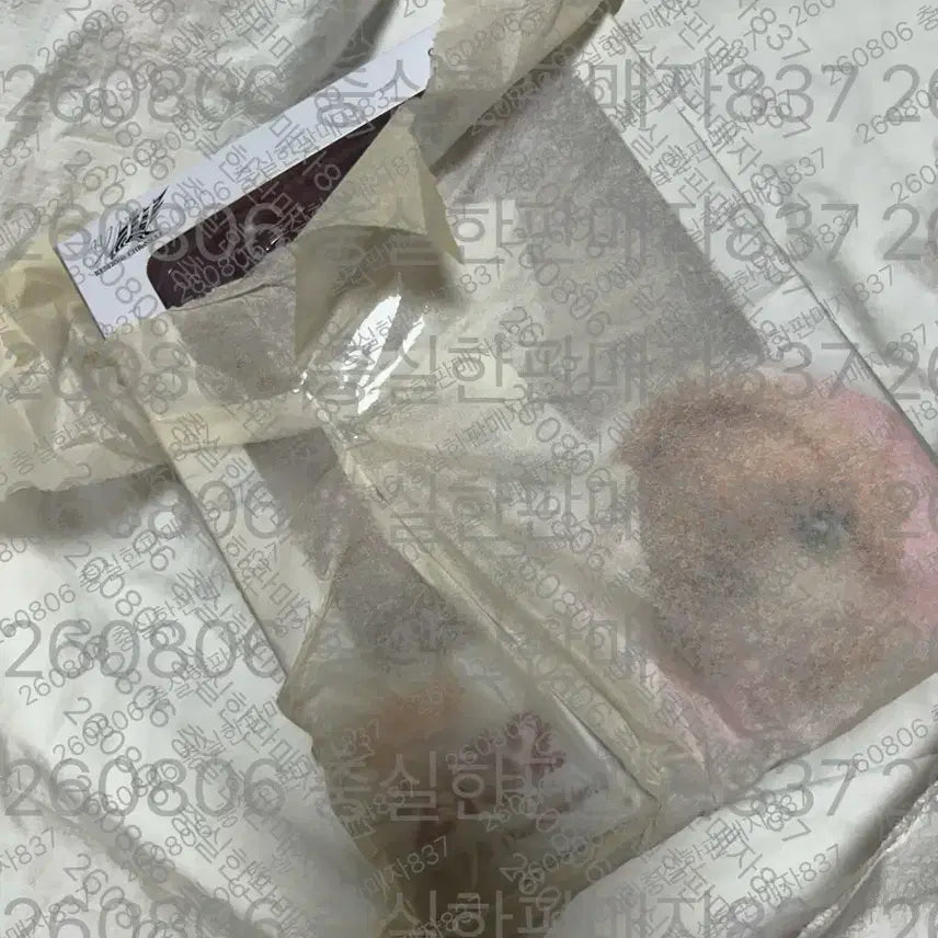 [BUNJANG] Tsubasa Chronicle Sakura Figure (Sealed) / (미개봉) 츠바사클로니클 사쿠라