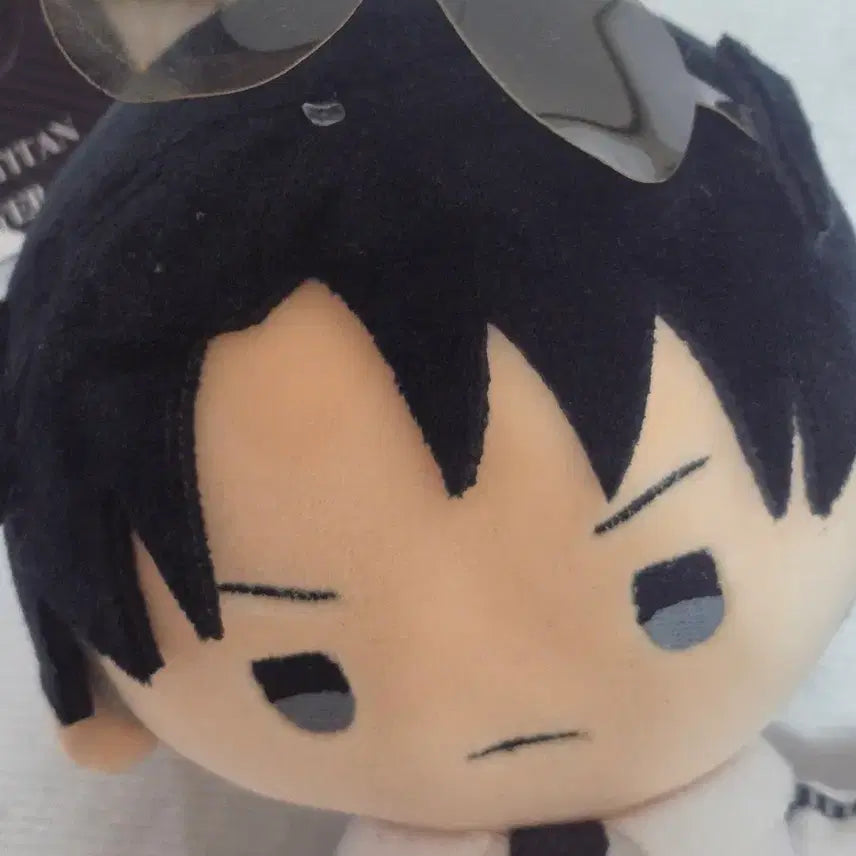 [BUNJANG] Attack on Titan Levi Plush Doll / 진격거 스타플라이어 리바이 누이 인형