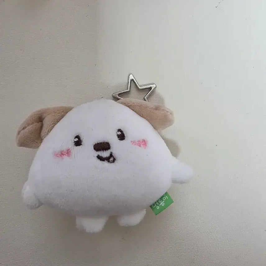 [BUNJANG] RIIZE Anton 7cm Mini Keyring / 멍룡이 앤톤 라이즈 리라즈 7cm 미니 키링
