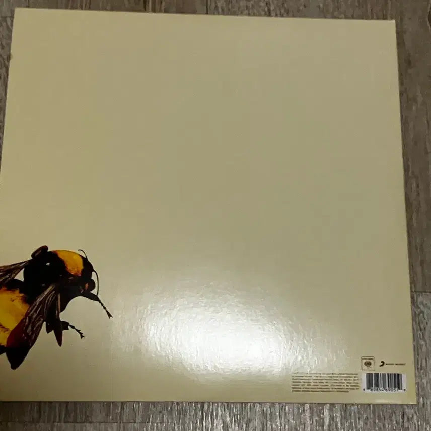[BUNJANG] Tyler, The Creator Flower Boy LP / Flower boy Lp