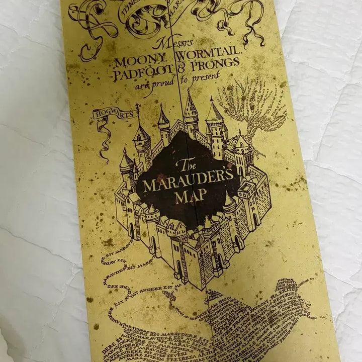 [BUNJANG] Harry Potter Draco Malfoy Wand and Map Set / 해리포터 굿즈 판매