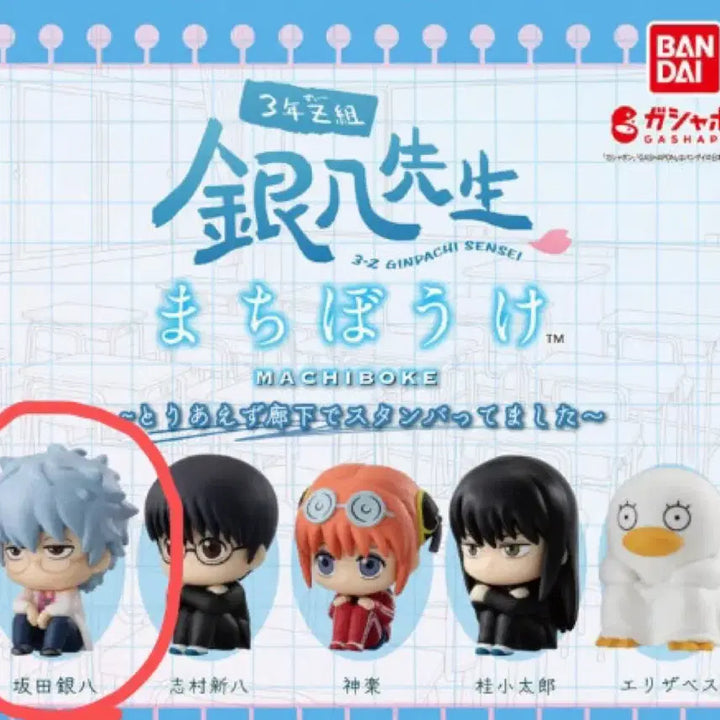 [BUNJANG] Gintama Sangetsu Machiboke Gacha Gintoki Ginpachi (Sealed) / (미개봉) 은혼 삼젯 마치보케 가챠 긴토키 긴파치