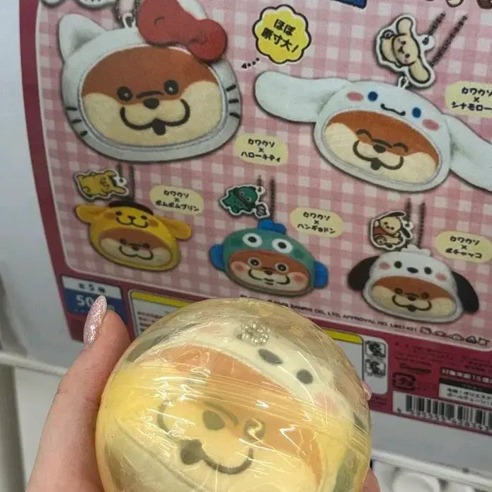 [BUNJANG] Sanrio Pochacco Collaboration Gachapon Doll Keychain (Sealed) / 포차코 가챠 미개봉