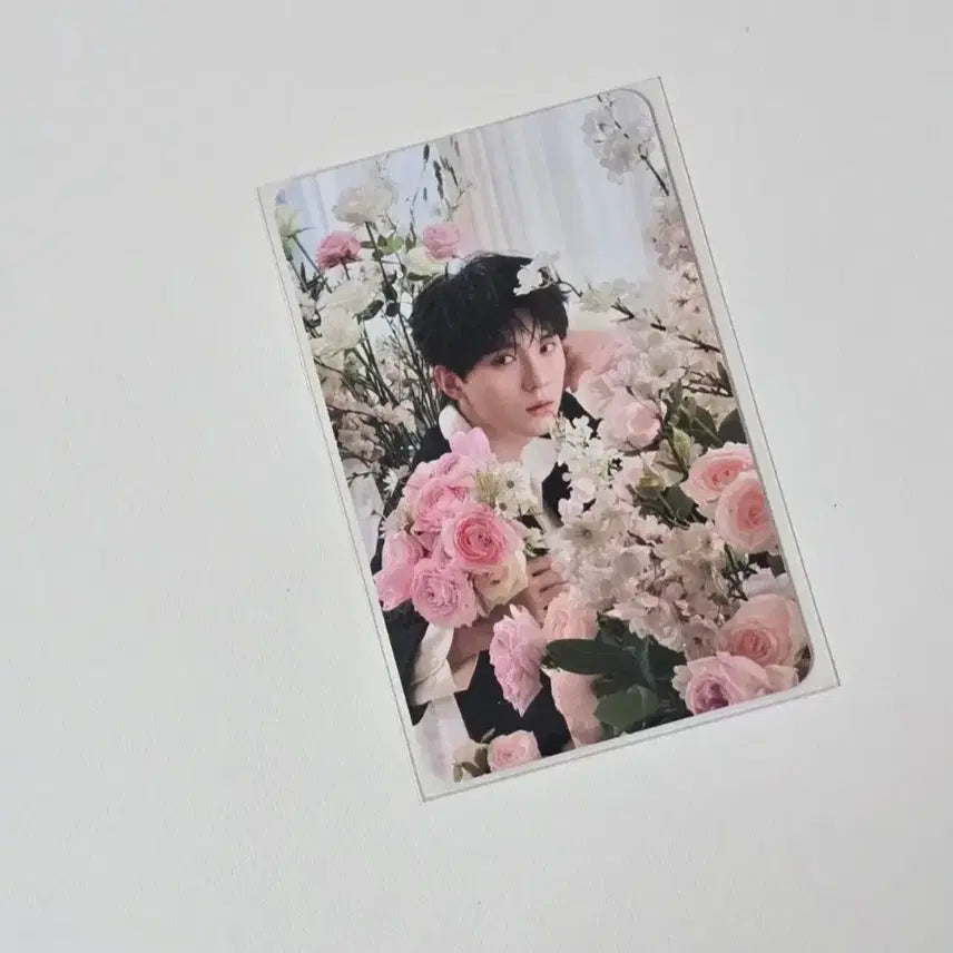 [BUNJANG] Zhou Yiran Natural Tang &amp; Hwagan Song Photocard Bundle Set / 주익연 자연당&amp;화간송 포카 (일괄판매)