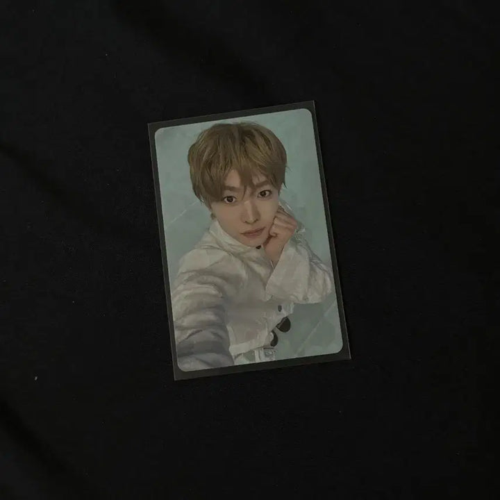 [BUNJANG] NCT WISH Odd To Love Bundle Set Photocards / 엔시티위시 오드투러브 팝업 5만원포카 리쿠 유우시 사쿠야 일괄