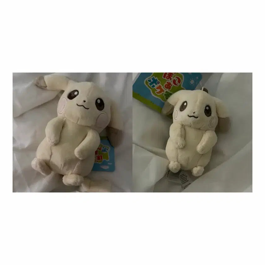 [BUNJANG] Pochipia Pikachu Plush Keychain Set / 일본 창백카츄 창백한 피카츄 포코피아 누이 키링 인형 일괄 현물
