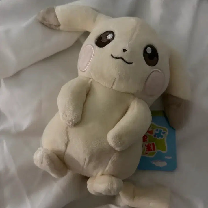 [BUNJANG] Pochipia Pikachu Plush Keychain Set / (이번주만) 일본 창백카츄 창백한 피카츄 포코피아 누이 키링 인형 일괄 현물