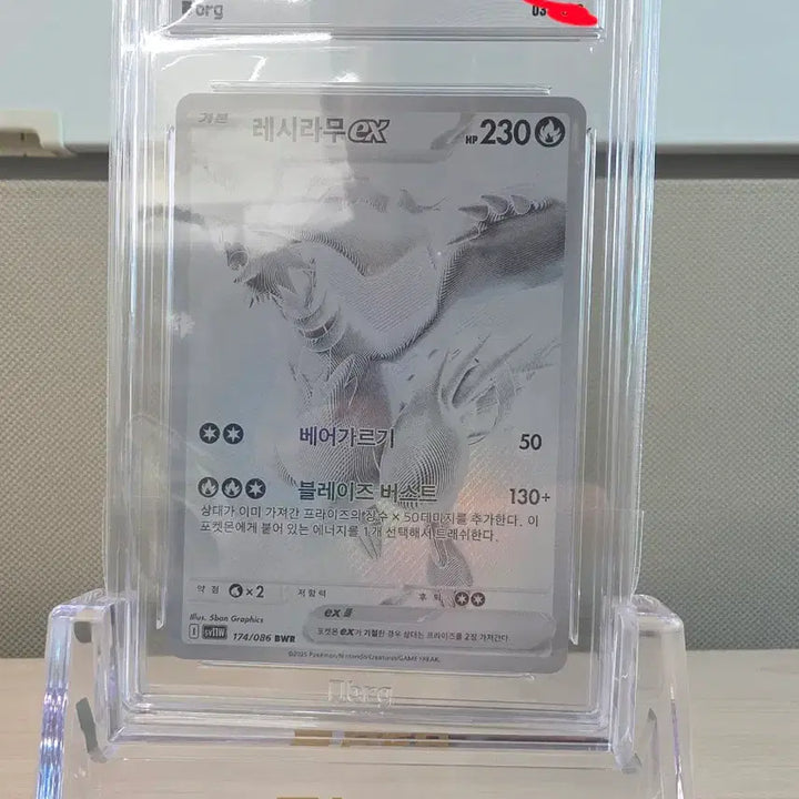 [BUNJANG] Reshiram &amp; Zekrom Set - 25th Anniversary Limited Edition / [급처] 레시라무, 제크로무 세트 판매