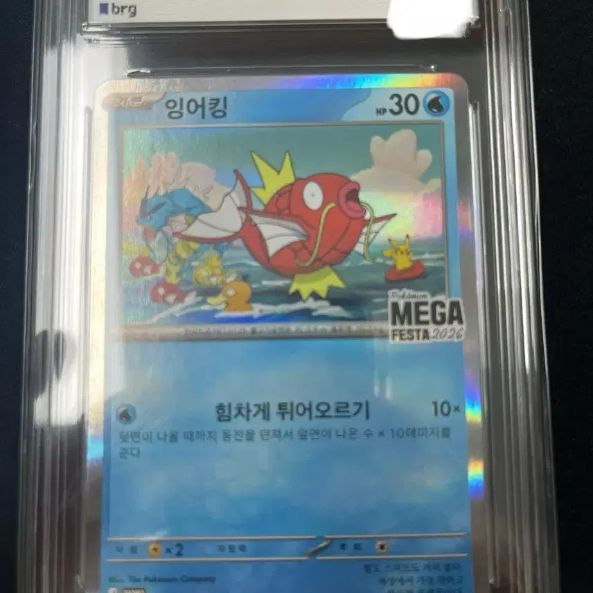 [BUNJANG] Pokemon Magikarp Promo BRG10 Graded Card / 포켓몬카드 잉어킹 프로모 brg10 팝니다!