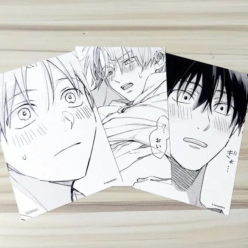[BUNJANG] Tashiro, That Guy You Love? Tunic Special Edition Postcard Bundle Set / 타시로 너란 녀석은 투니크 1만원 구매 특전 엽서 일괄