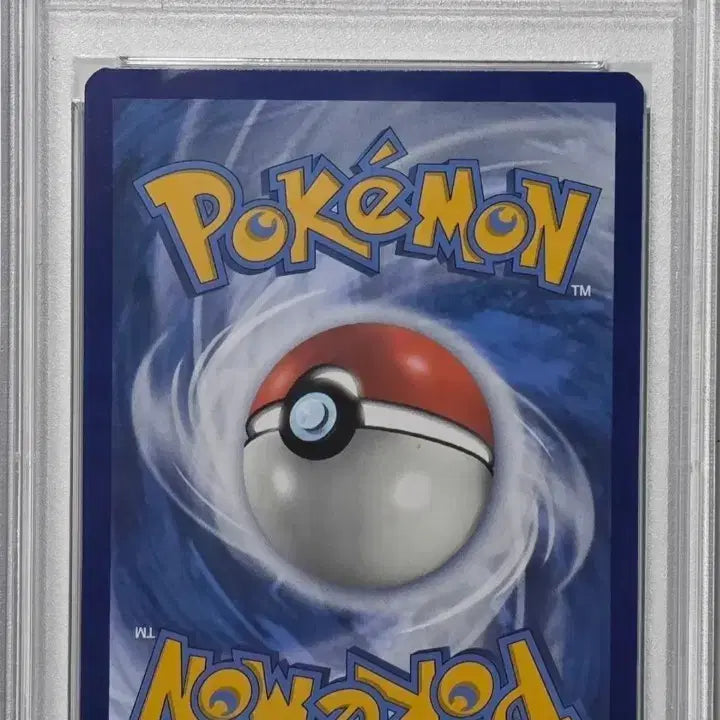 [BUNJANG] Pokemon Card Charizard SAR PSA 8 Graded North American Edition / 북미판 포켓몬카드 리자몽 sar psa 8등급 판및교