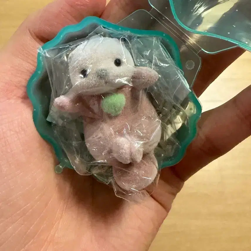 [BUNJANG] Sea Otter Gachapon Figure / 해달 가챠