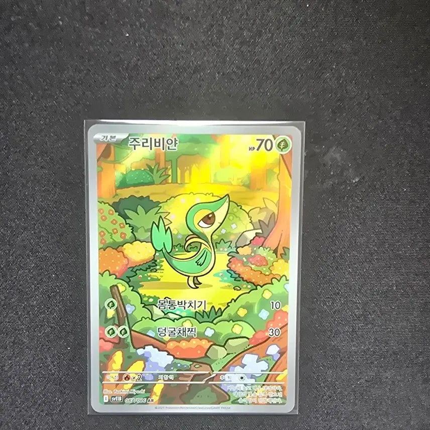 [BUNJANG] Pokemon Juribiyan AR Card S-Class / 포켓몬카드 주리비얀 AR 카드 S급