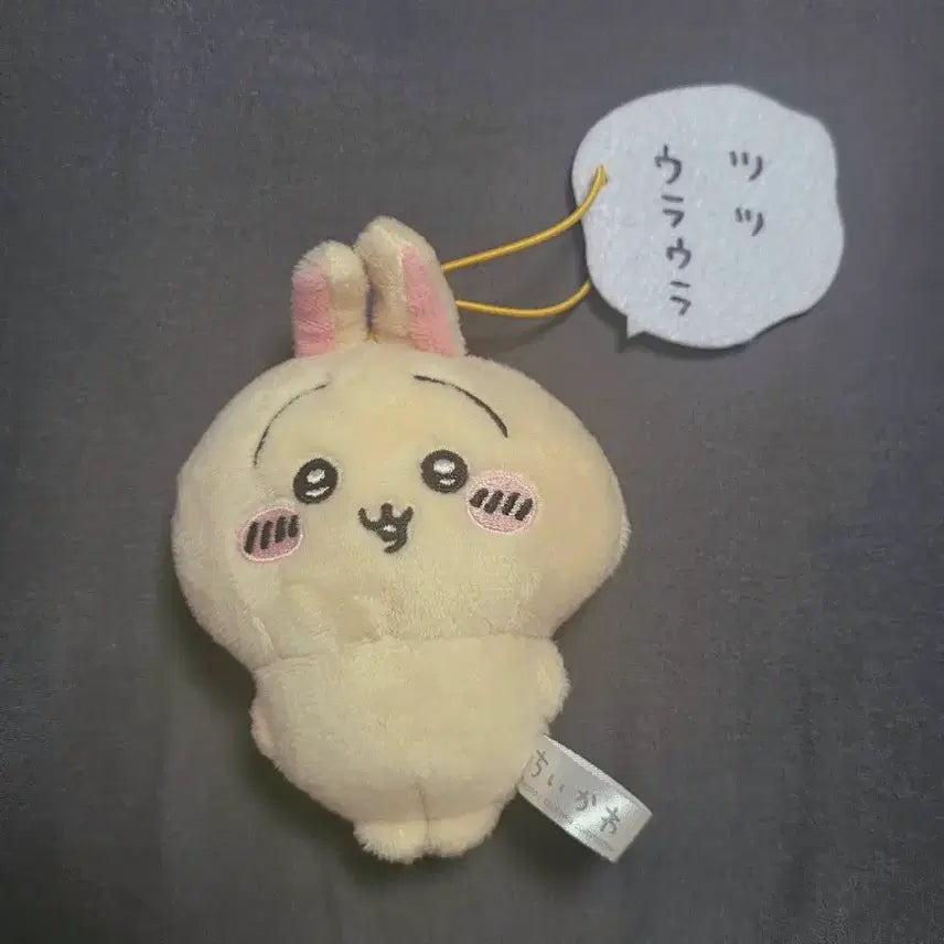 [BUNJANG] Usagi Speech Bubble Mascot / 우사기 말풍선 마스코트