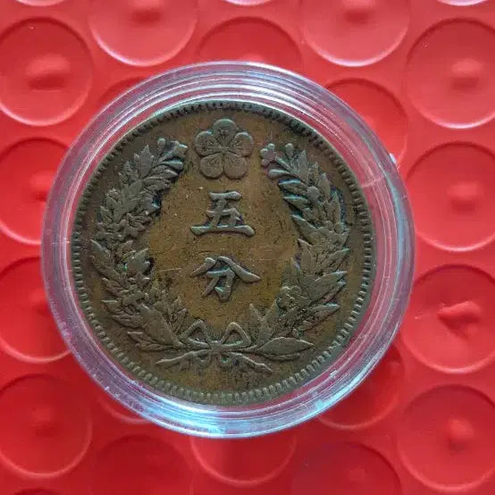 [BUNJANG] 1896 Bronze Coin (5 Mun) / 개국505년 (1896) 5분 소자 청동화