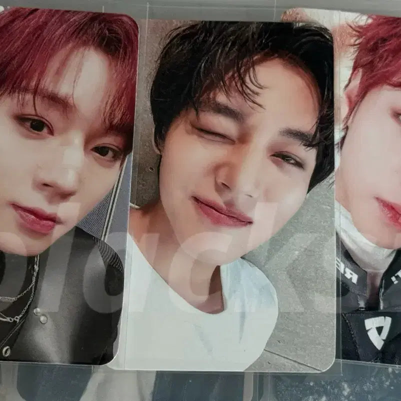 [BUNJANG] Park Ji Hoon Nitro Mamute POB Bundle Set / 박지훈 나이트로 마뮤테 미공포 일괄