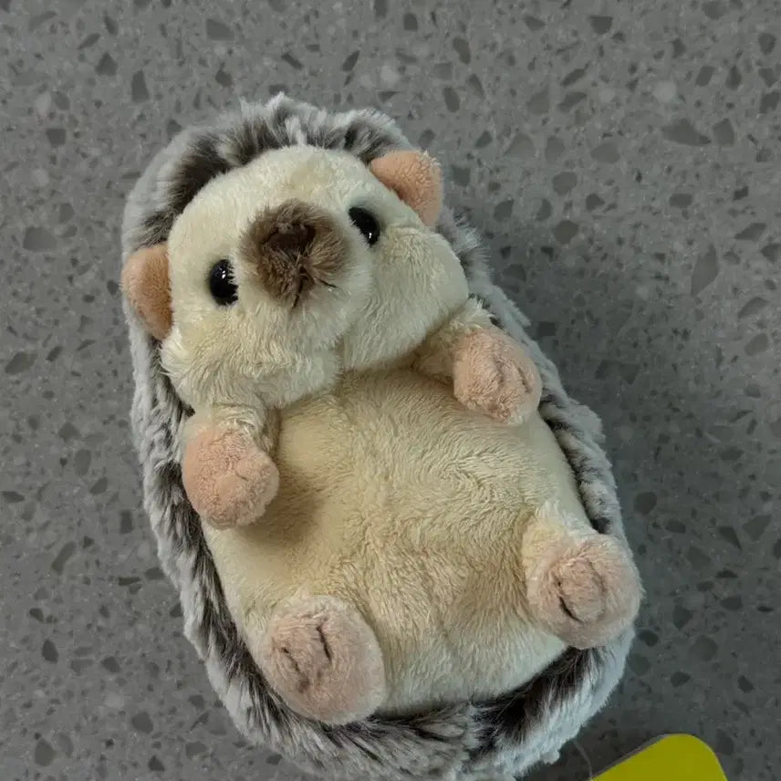 [BUNJANG] Sunlemon Fluffy Animal Baby Hedgehog Plush / 선레몬 플러피애니멀 아기 동물 인형 고슴도치