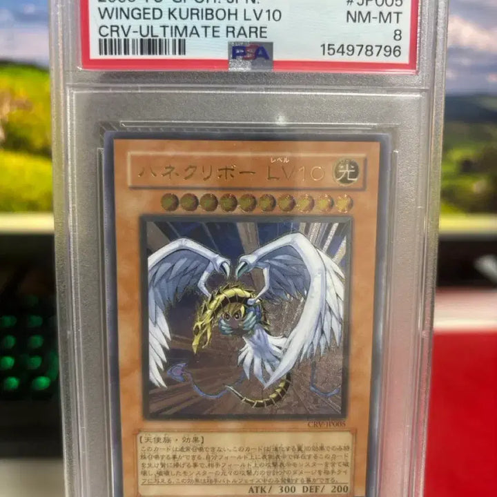 [BUNJANG] Yu-Gi-Oh! Winged Kuriboh LV10 CRV-JP005 PSA 8 / 유희왕 날개 크리보 LV10 얼티 crv-jp005 psa8