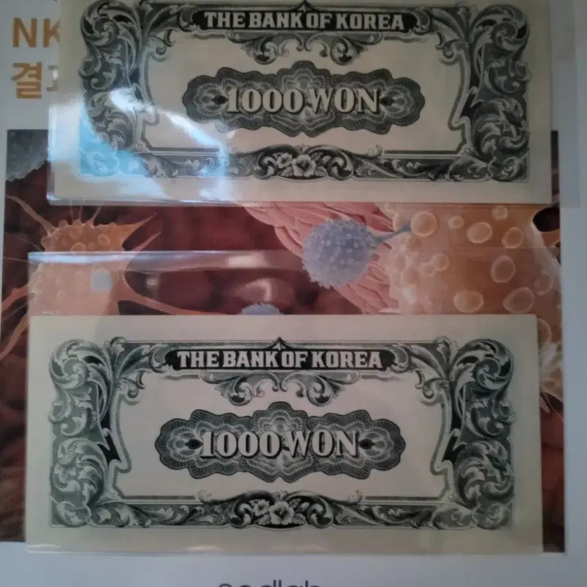 [BUNJANG] North Korean Won (1000 Won) Unused Banknotes (2 Pieces) / 좌이박 미사용 2장
