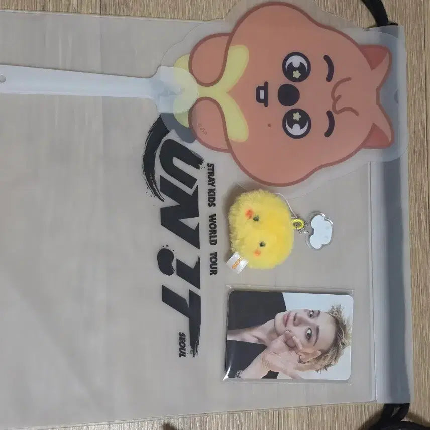 [BUNJANG] Stray Kids Run In Concert Entrance Gift Bundle Set / 스트레이키즈 막막콘 스키즈 런잇 입장 기프트