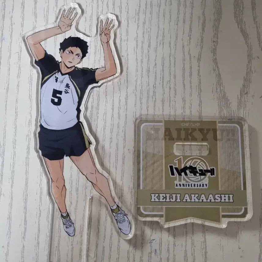 [BUNJANG] Haikyuu Akaashi Acrylic Stand 10th Anniversary / 하이큐 아카아시 아크릴 스탠드 10주년 기념