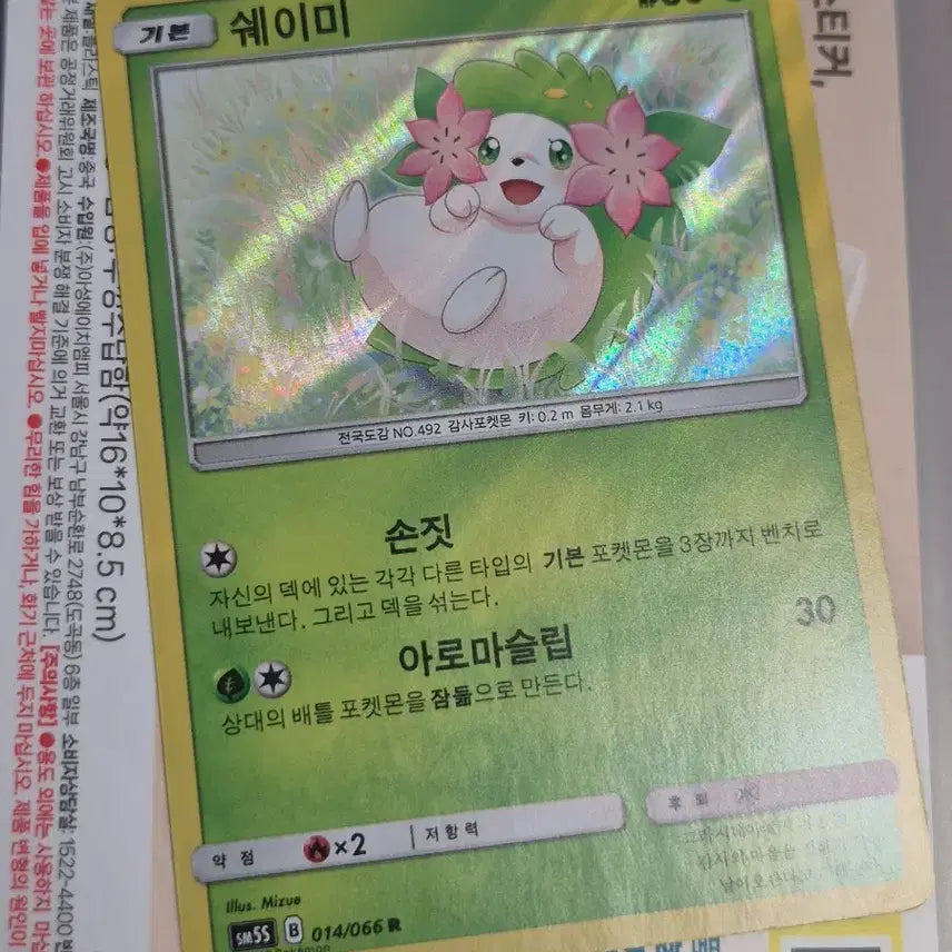 [BUNJANG] Shaymin Pokemon Card Album Version / 쉐이미 포켓몬카드 앨범용