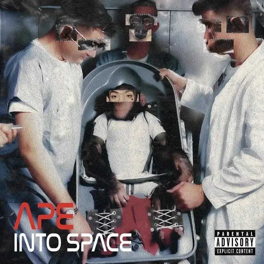 [BUNJANG] Kissape Ape Into Space CD / 구매) 키스에이프 ape into space cd