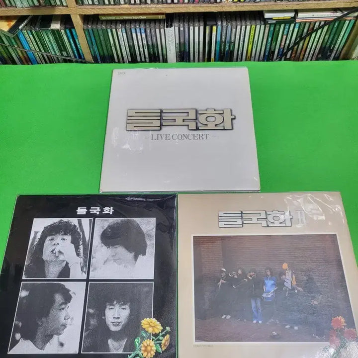 [BUNJANG] Dooly-hwa 4x Vinyl LP Set / -LP- 들국화 음반 LP 4장