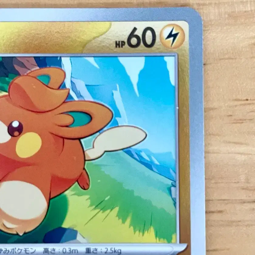 [BUNJANG] Pokemon Card Summer Promo Bamo 216/SV-P / 일판 포켓몬카드 여름 프로모 빠모 216/SV-P
