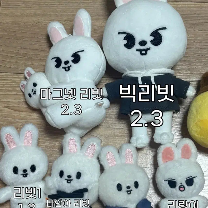 [BUNJANG] Stray Kids Lee Know (Lee Know) Accessories Bundle / 리노 굿즈 판매 리빗