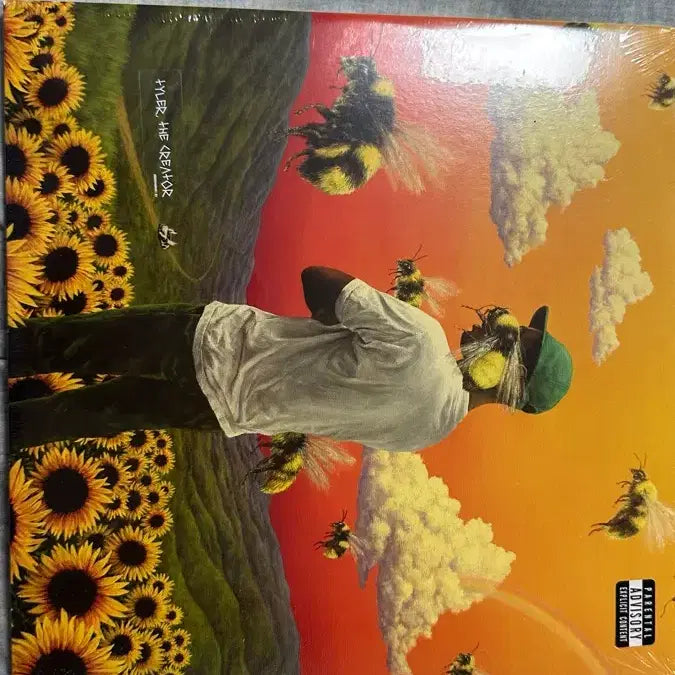 [BUNJANG] Tyler, The Creator Flower Boy LP (Sealed) / 타일러 더 크리에이터 flower boy lp 미개봉