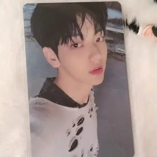 [BUNJANG] TXT Soobin Pastels Lucky Draw Photocard / 투바투 수빈 파스테 럭드 판매
