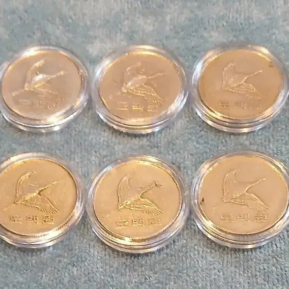 [BUNJANG] 1983 500 Won Coin Bundle Set (10 pcs) / 1983년 500원 동전 10개 일괄