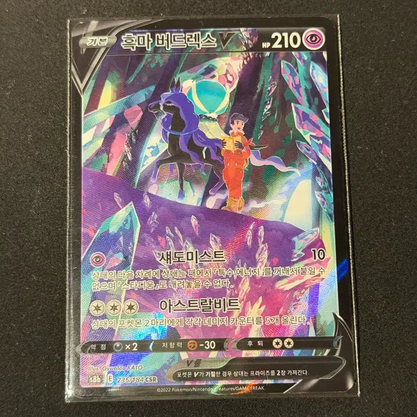 [BUNJANG] Pokemon Card Blacky Birdreck V CSR / 흑마 버드렉스 V CSR 포켓몬카드