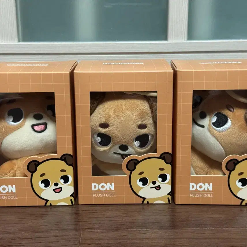[BUNJANG] DAY6 DAY&