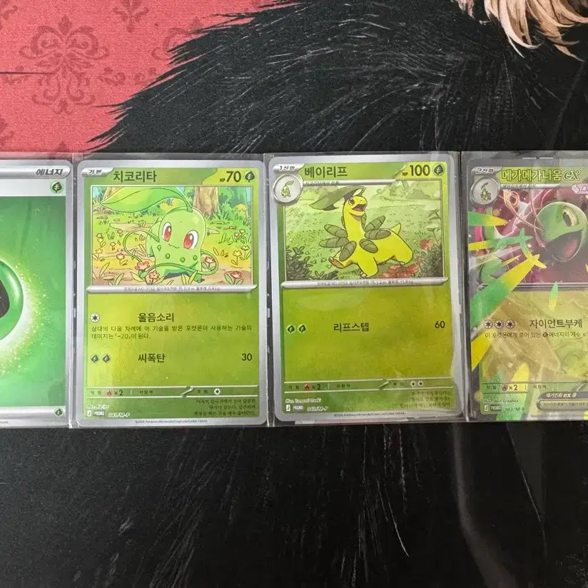 [BUNJANG] Pokemon Card Meganium ex Special Set / 포켓몬카드 메가메가니움 ex 스페셜 세트