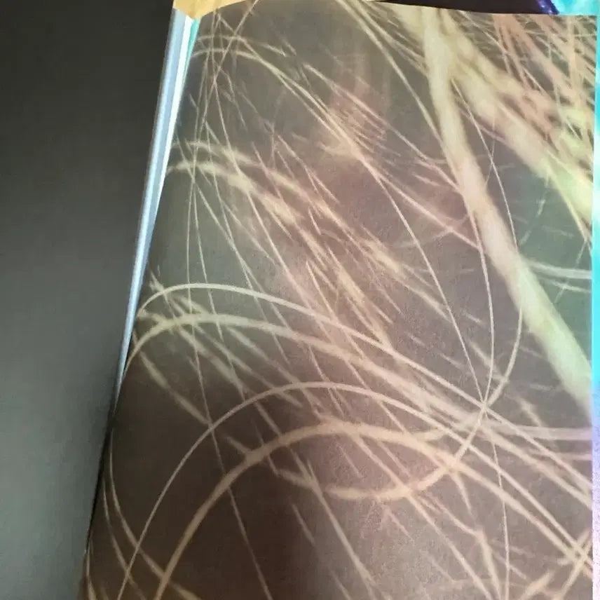 [BUNJANG] GOT7 Spinning Top: Between Security &amp; Insecurity Mini Album (Printed Signature) / GOT7 스피닝탑 미니앨범 (프린팅 사인)