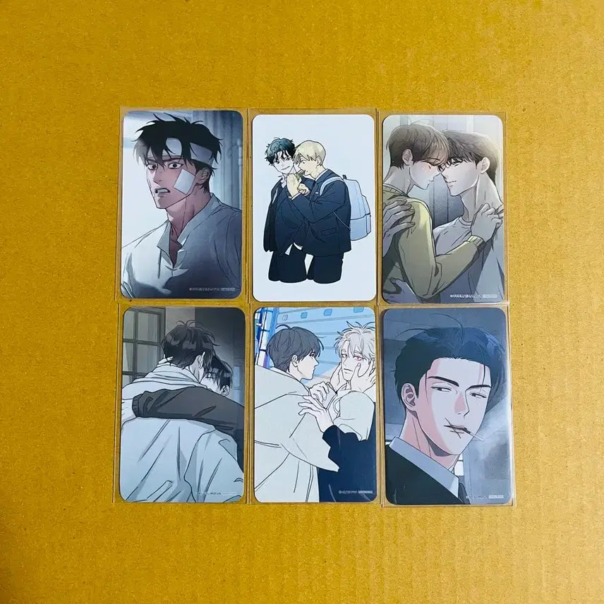 [BUNJANG] Toonique Mopeun Code:Ana Wonroom Jogyonim Mipilgo Oesarang Isaneu Photocard Bundle Set / 투니크 모펀 코드아나 원룸조교님 미필고 외사랑 이사너 등 방포6장
