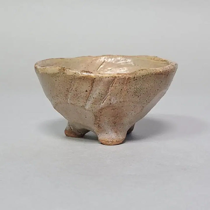 [BUNJANG] Jidang Park Bu-won Celadon Porcelain Teacup / 지당 박부원샘 찻잔