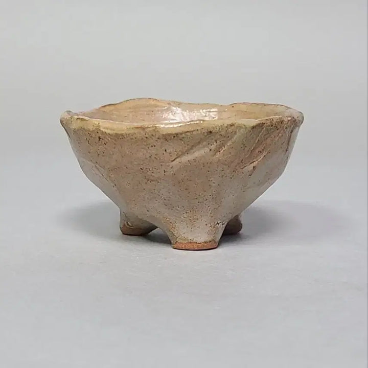 [BUNJANG] Jidang Park Bu-won Celadon Porcelain Teacup / 지당 박부원샘 찻잔