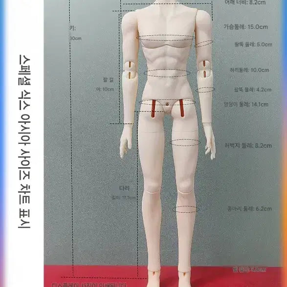 [BUNJANG] Baby Belle 30cm Ball-Jointed Doll Body / [판매] 베이비벨 30cm 구관인형 바디