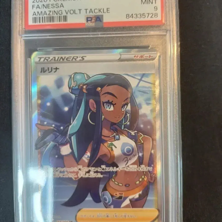 [BUNJANG] Pokemon Nessa Rurina 