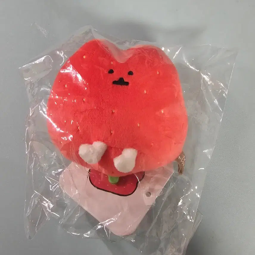 [BUNJANG] Nagano Market Strawberry Bear Plush / 나가노마켓 농담곰 딸기곰