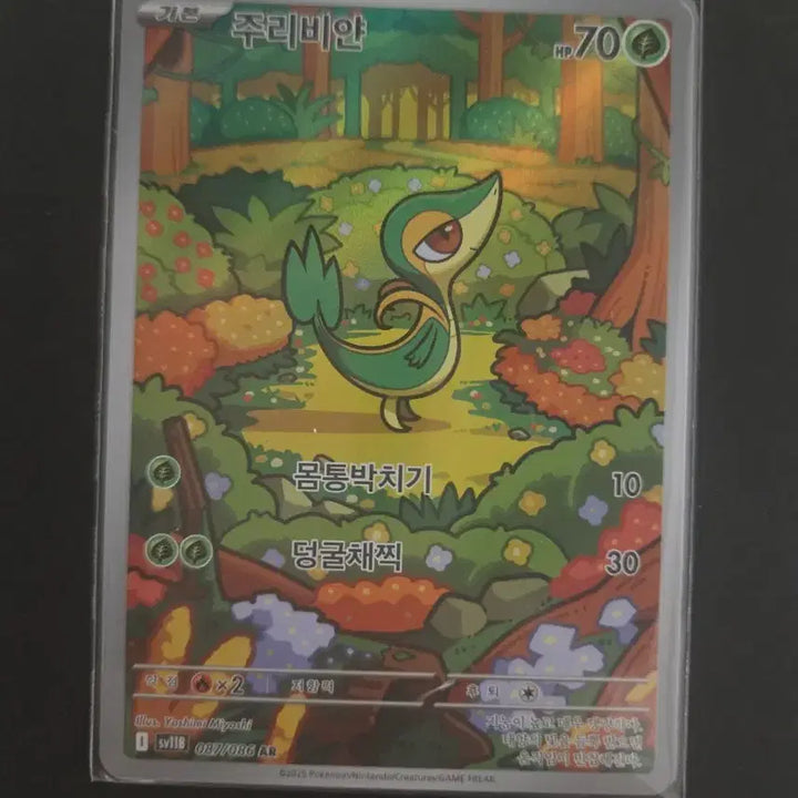 [BUNJANG] Pokemon Card Jurrebyan AR / 포켓몬카드 주리비얀ar