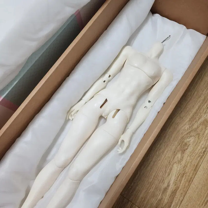 [BUNJANG] MSD Whitening Male Body / msd 미백 남아바디