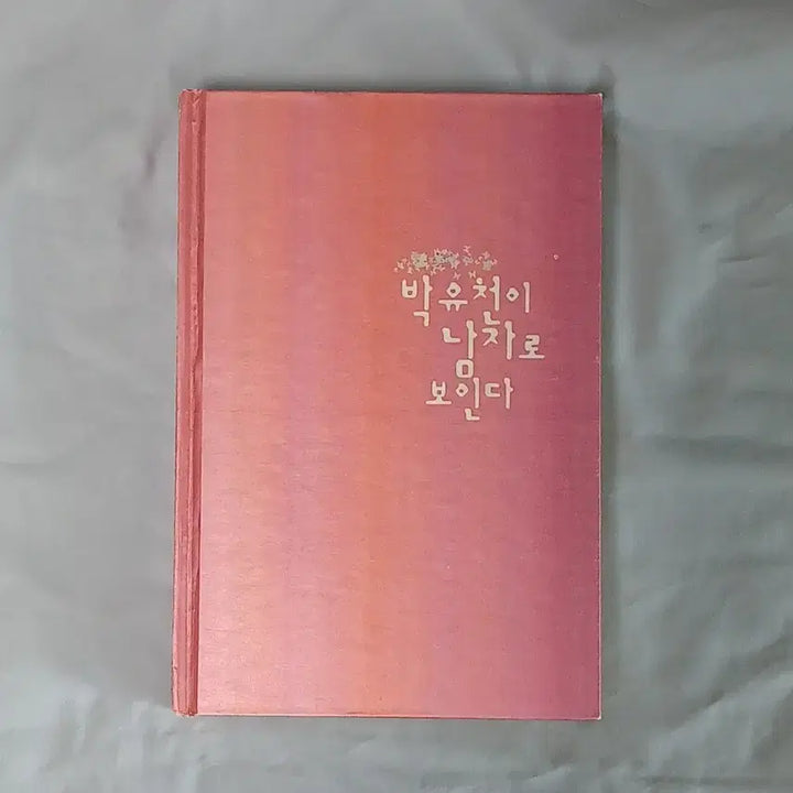 [BUNJANG] TVXQ! Junsu/Yoochun Fanbook / 동방신기 유수 소장본 팬북 ㅂㅇㅊ이 남자로 보인다