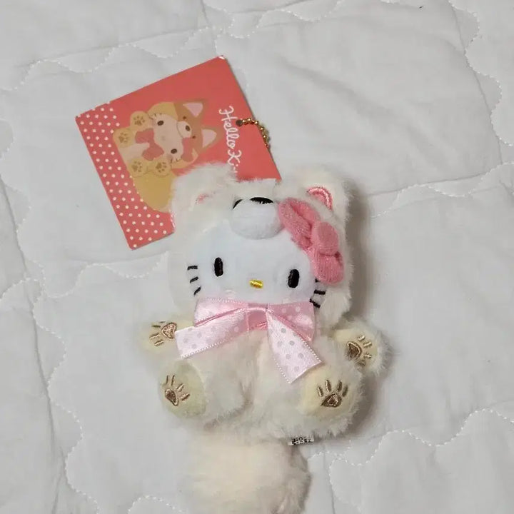 [BUNJANG] Hokkaido Limited Edition Kitty Cat Costume / 훗카이도 한정) 고양이 코스튬 키티