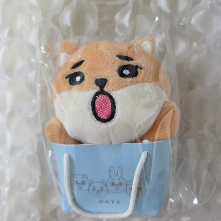 [BUNJANG] Day6 Japan MD Keyring Bag Charm / 데이식스 일본 MD 케 백참