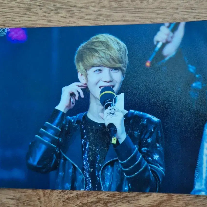 [BUNJANG] EXO Luhan Camera Photocard / 엑소 루한 카메라사진