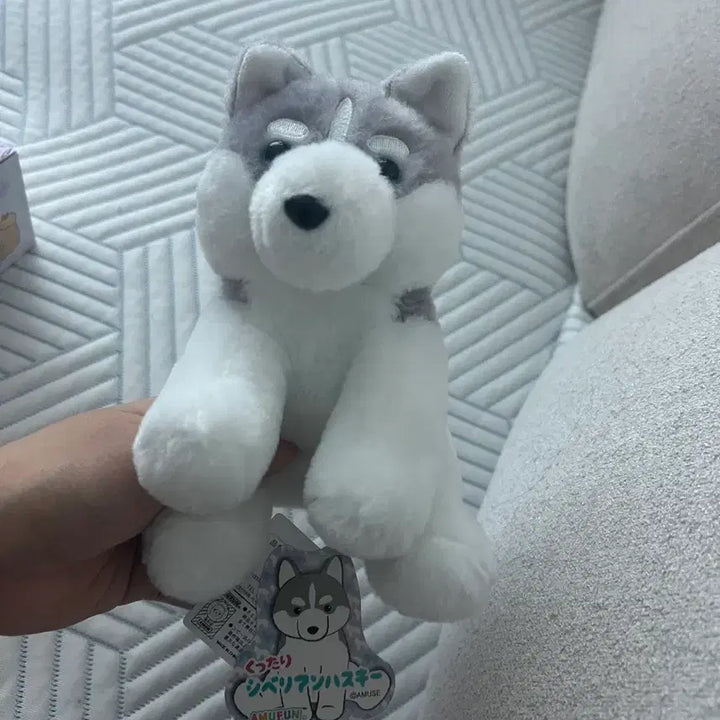 [BUNJANG] Amuse Husky Plush / 일본 어뮤즈 허스키 인형